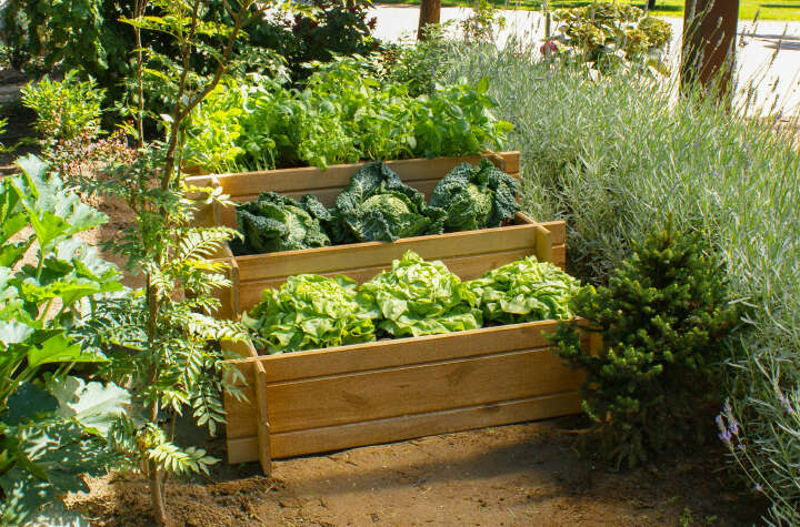 PATKAR 3-stufiges Hochbeet